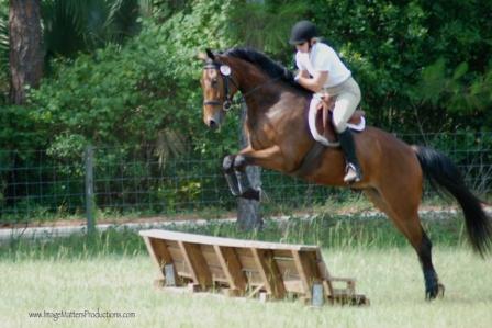 Woomera HM - future event horse