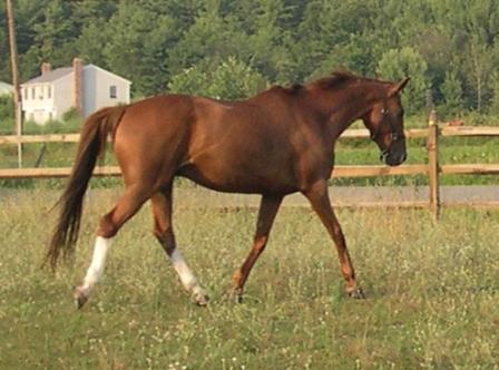 Jack enjoying retirement