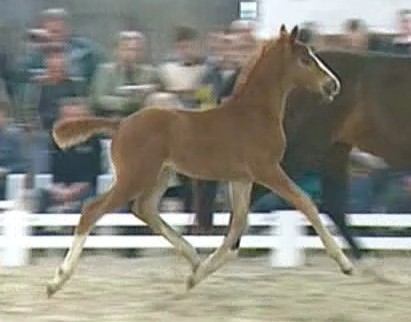 Legendary HM (Londonderry)