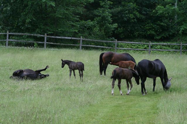 SPS Pakesa teaches Darshan the best way to rub out braids.