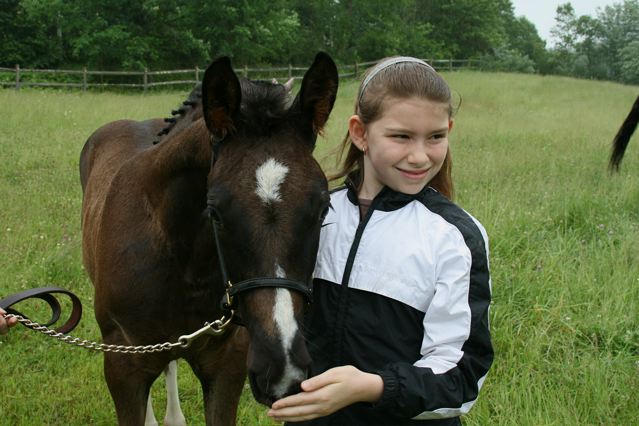 Regalia HM (Rascalino - EM Day Dream)