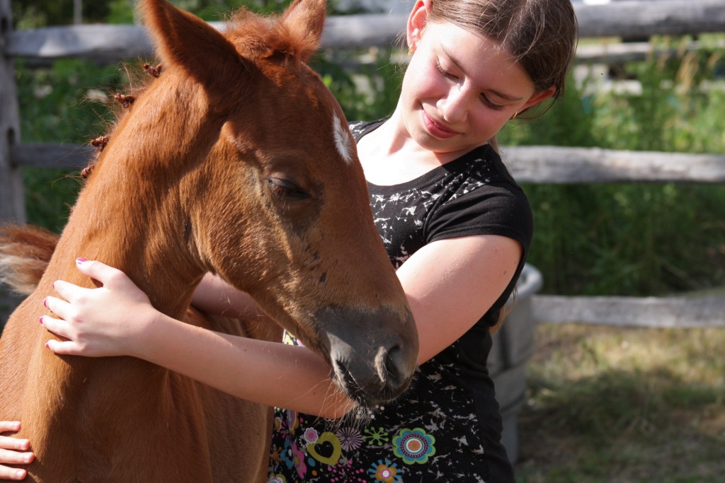 Lorelei HM (Londonderry - SPS Destiny)