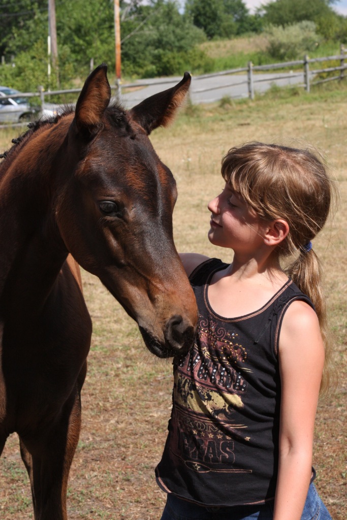 Seraphina HM (Soleil Q - EM Day Dream)