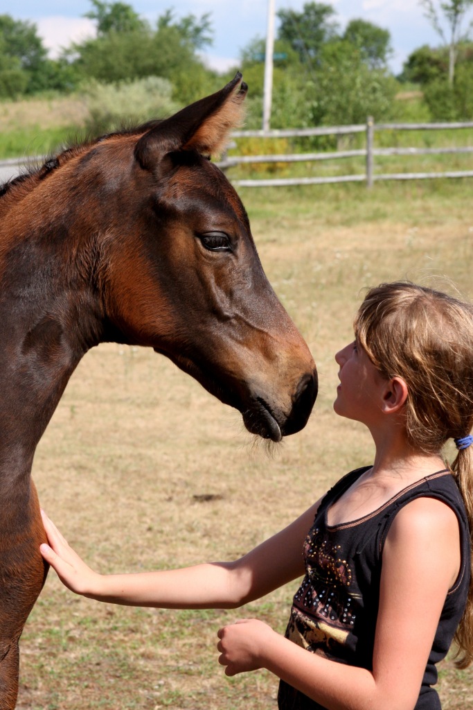 Seraphina HM (Soleil Q - EM Day Dream)