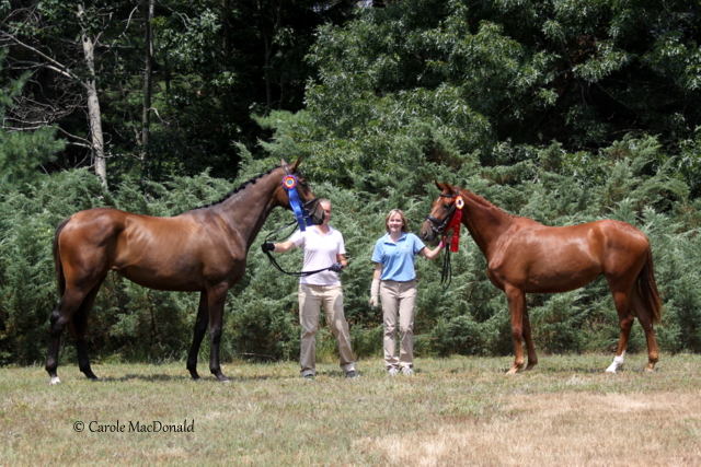 Seraphina HM - Champion & Lorelei HM - Reserve Champion